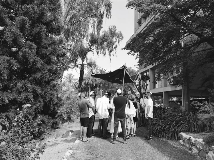 בלאגן ברודוס: חתונה לוהטת במיוחד ביוון 15