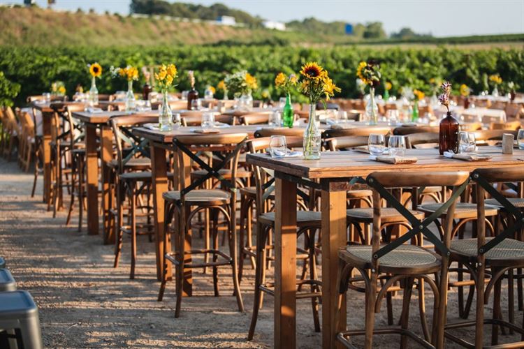 תפאורה יוצאת מן הכלל, החתונה של ירדן אהרוני וחגי טבת (צילום: עידן כנפי) 