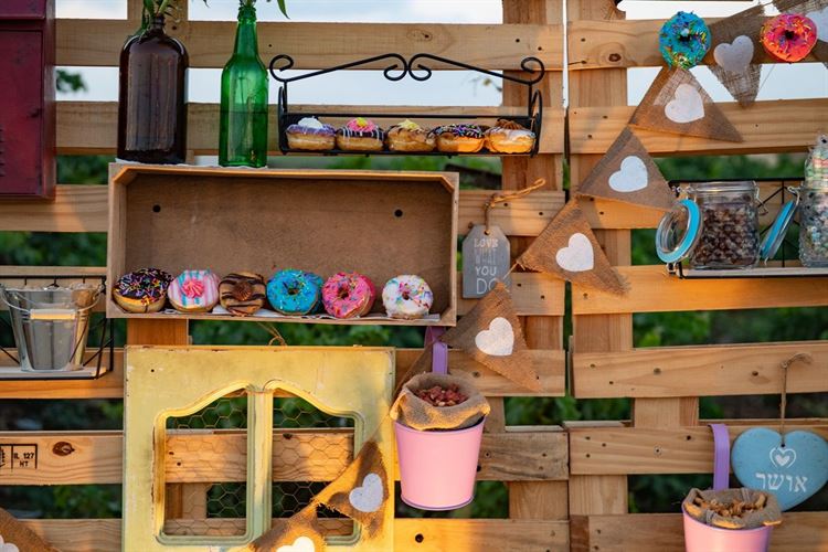 מתחשק לנו לקחת הכול, החתונה של ירדן אהרוני וחגי טבת (צילום: עידן כנפי)