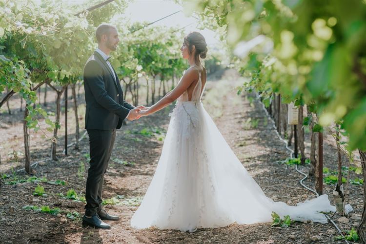 עד קצה העולם: "סייב דה דייט" מושלם בקריביים 11