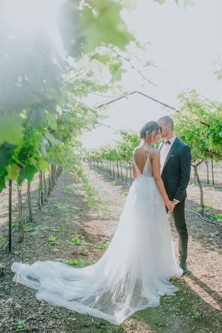 עד קצה העולם: "סייב דה דייט" מושלם בקריביים 14