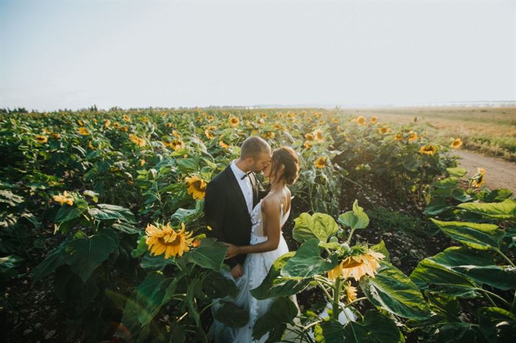 עד קצה העולם: "סייב דה דייט" מושלם בקריביים 20