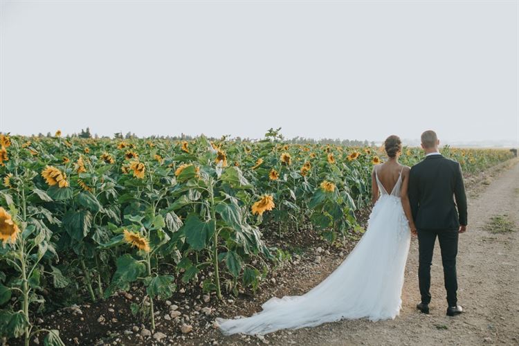עד קצה העולם: "סייב דה דייט" מושלם בקריביים 22