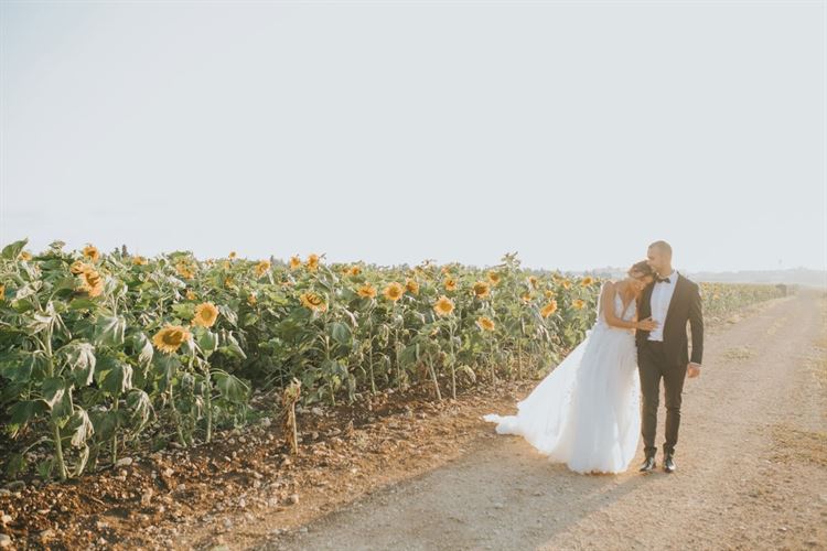 עד קצה העולם: "סייב דה דייט" מושלם בקריביים 23