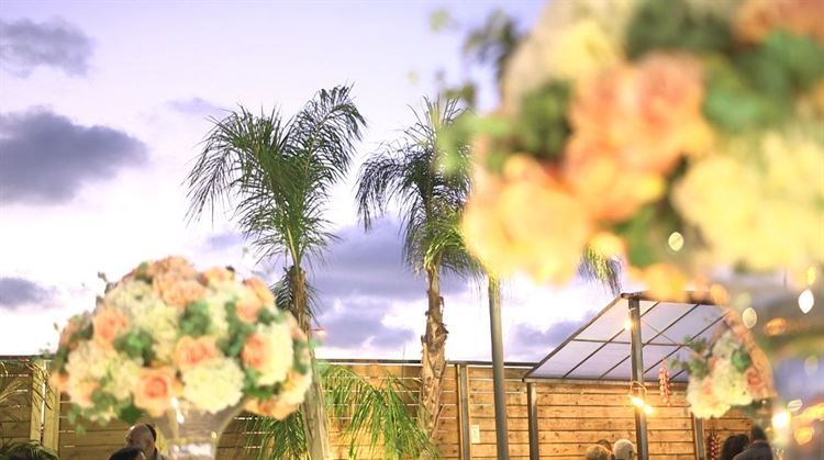 מתחם האירועים מפלים: כשהטבע פוגש את העיר הגדולה 9