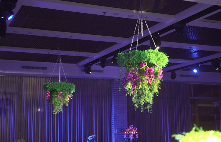 מתחם האירועים מפלים: כשהטבע פוגש את העיר הגדולה 12