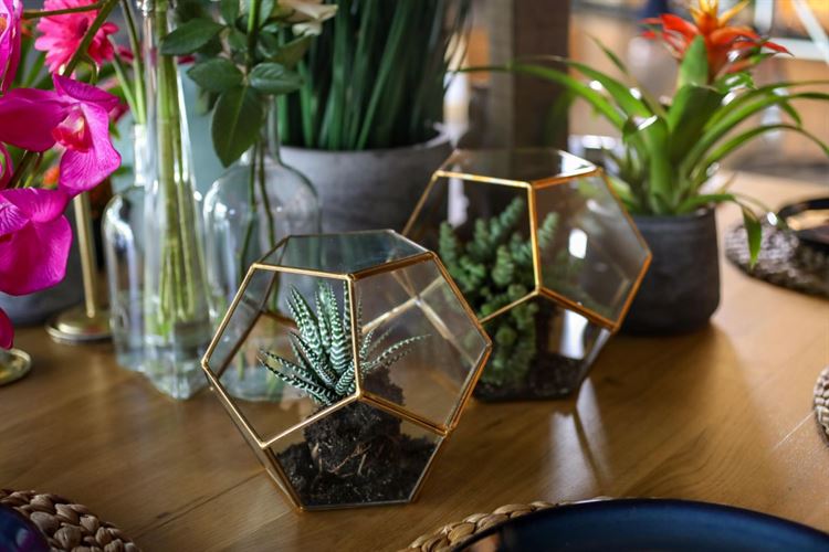 המטבח הפתוח של תרין: הפתעה מרעננת בעולם החתונות 7