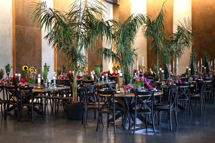 המטבח הפתוח של תרין: הפתעה מרעננת בעולם החתונות 8