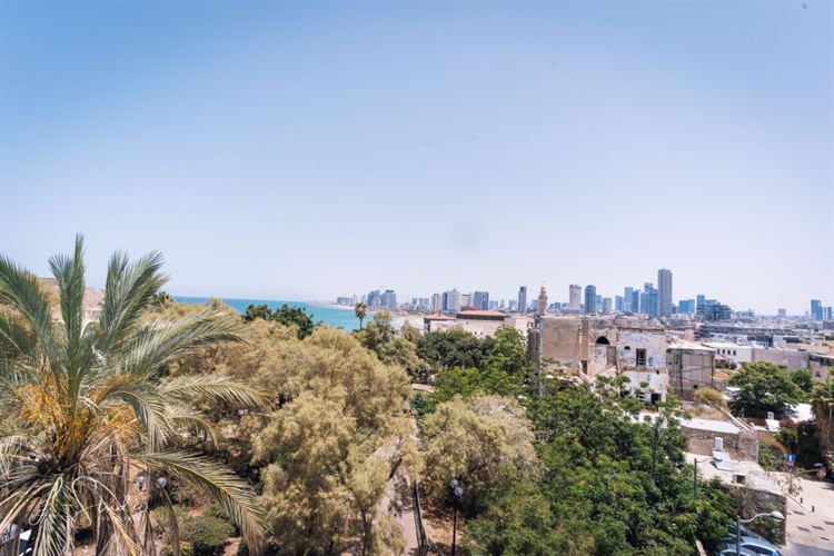 חתונת שישי בצהריים באווירה קסומה 9