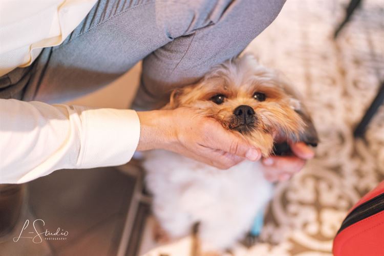 חתונת שישי בצהריים באווירה קסומה 14