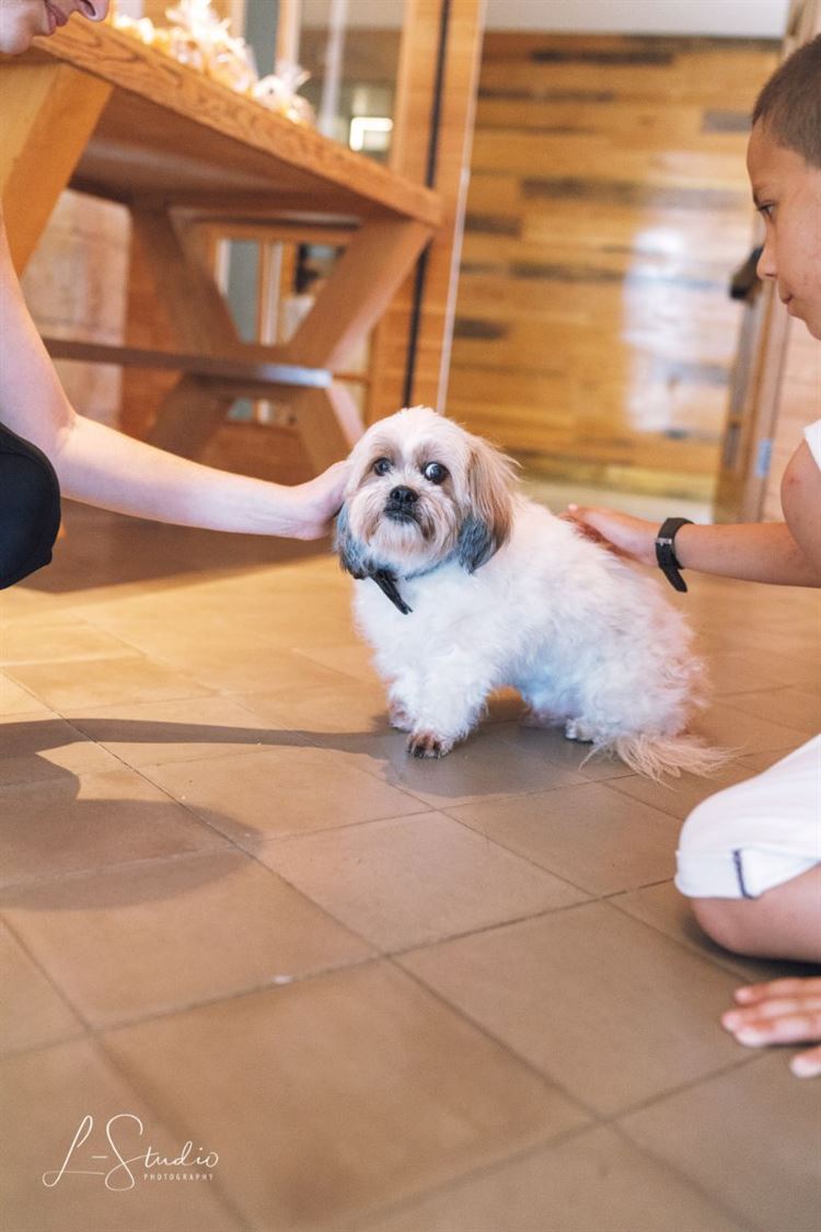 חתונת שישי בצהריים באווירה קסומה 24