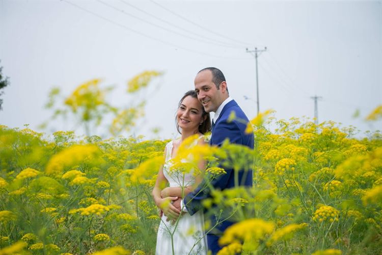 מלחמת הגרסאות: מי השתלט על מיטת השיזוף? 12