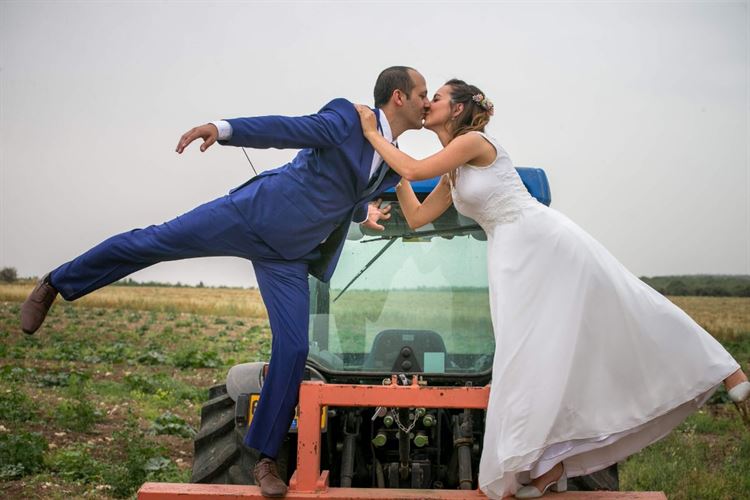 מלחמת הגרסאות: מי השתלט על מיטת השיזוף? 14