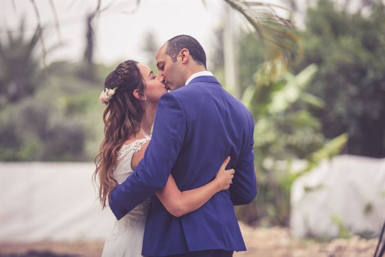 מלחמת הגרסאות: מי השתלט על מיטת השיזוף? 7