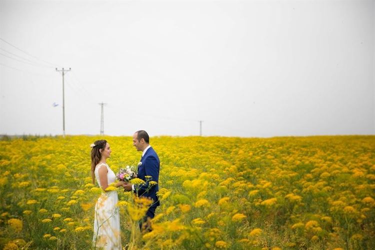מלחמת הגרסאות: מי השתלט על מיטת השיזוף? 9