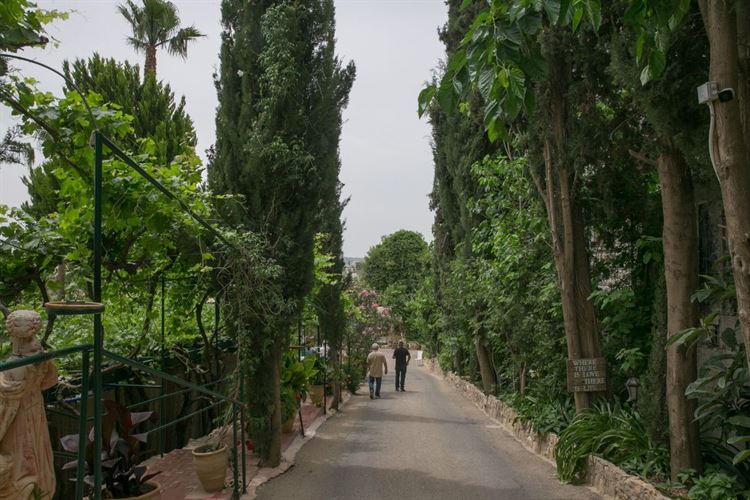 מלחמת הגרסאות: מי השתלט על מיטת השיזוף? 18