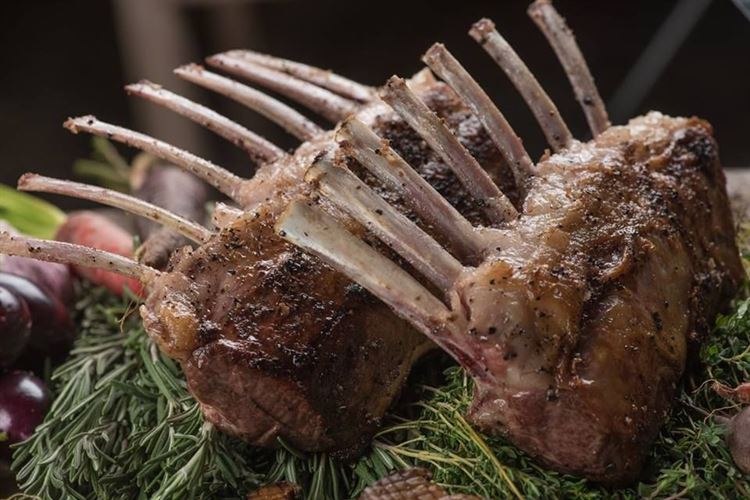 ארקו: המקום המושלם לחתונה קטנה בתל אביב 19