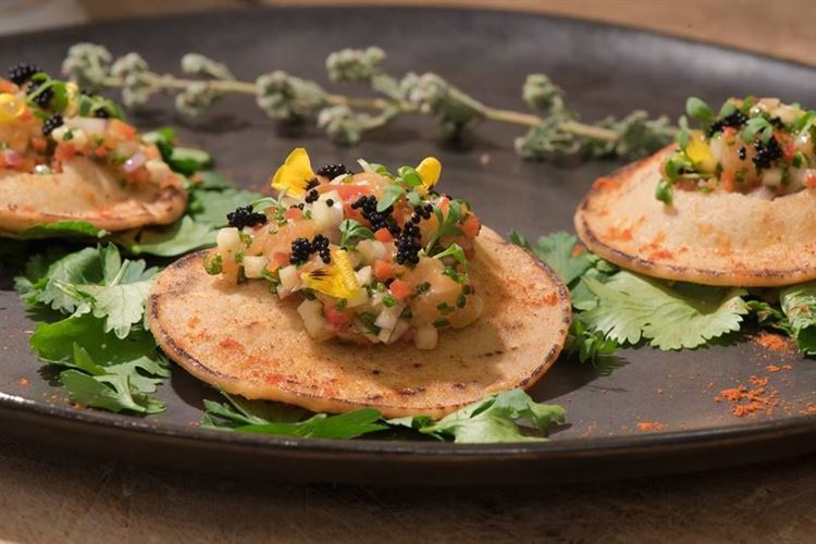 ארקו: המקום המושלם לחתונה קטנה בתל אביב 21