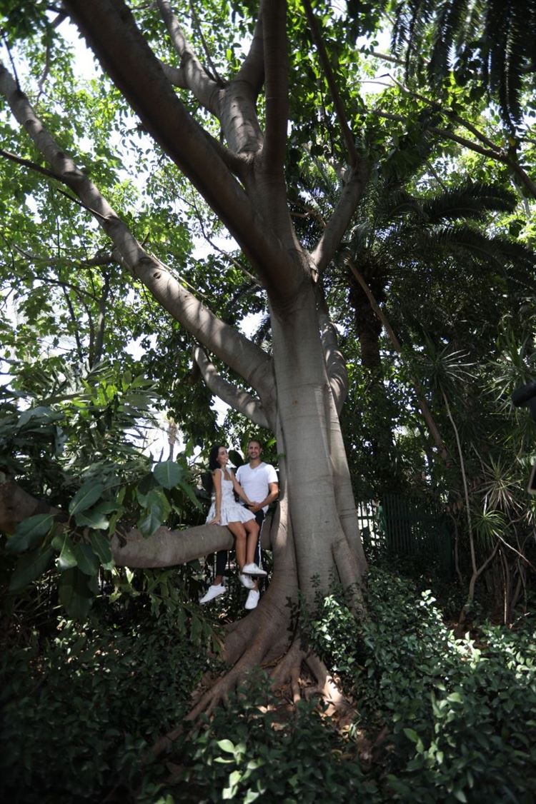 מא' ועד ת': הכלה שתכננה לבד את החתונה 10