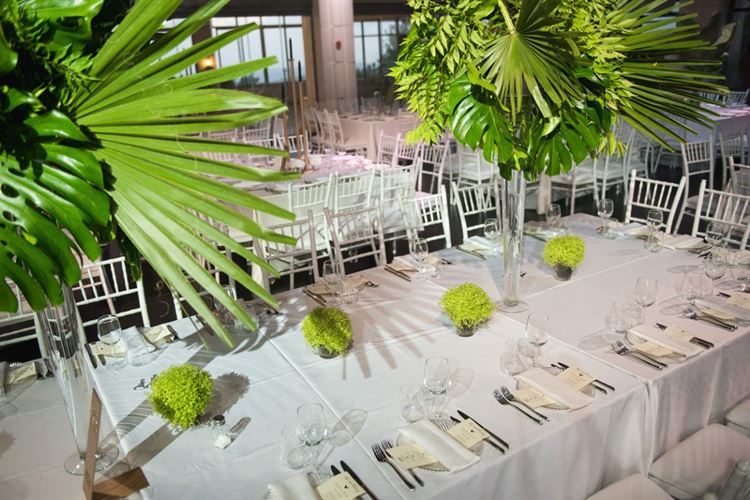 הזוג שטס לחו"ל שבועיים וחצי אחרי הדייט הראשון 23