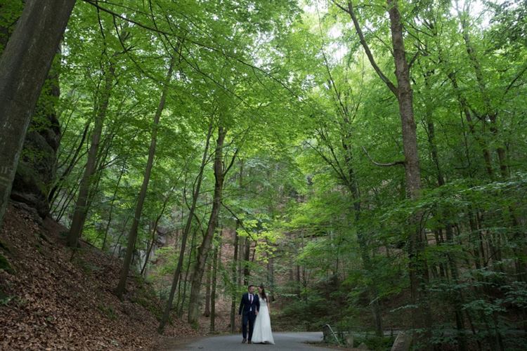 חלום של ילדת דיסני: חתונה בארמון בצ'כיה 8