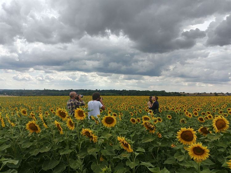 חלום של ילדת דיסני: חתונה בארמון בצ'כיה 5