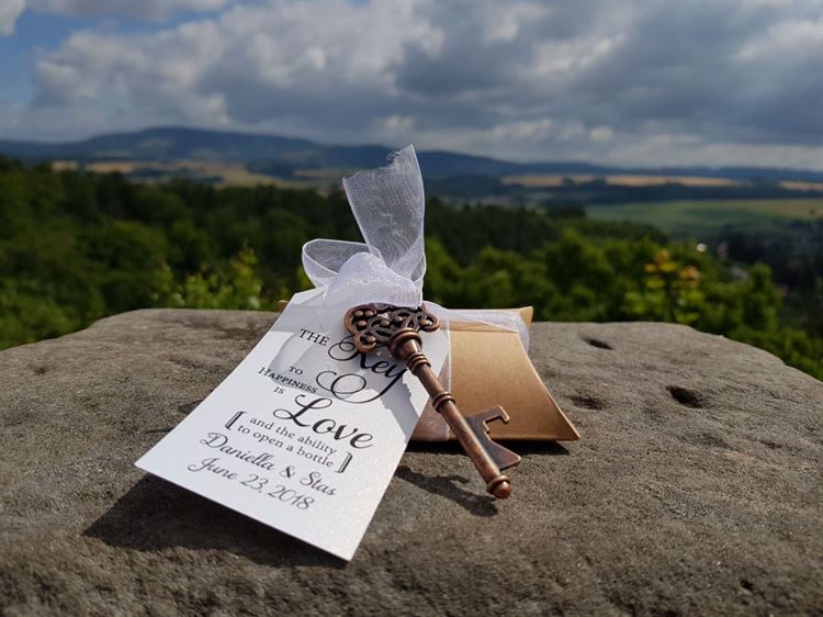 חלום של ילדת דיסני: חתונה בארמון בצ'כיה 22