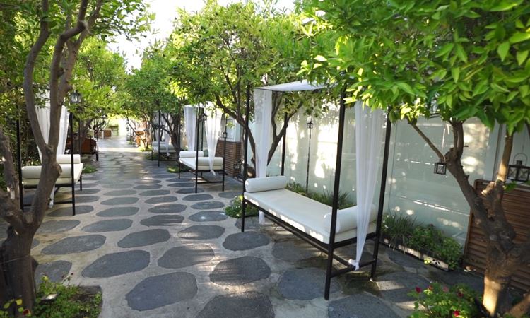 חוויה קסומה בשרון: גן האירועים שמיים וארץ 4