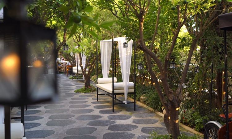 חוויה קסומה בשרון: גן האירועים שמיים וארץ 8