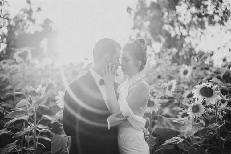 המתכון הסודי לאהבה ולחתונה המושלמת 8