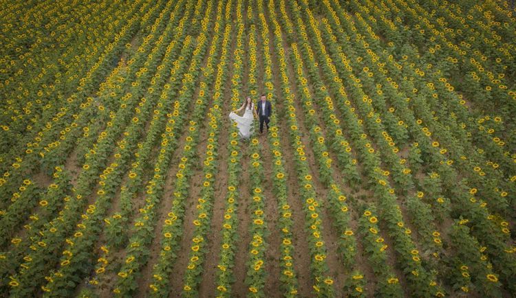 חלום של ילדת דיסני: חתונה בארמון בצ'כיה 27