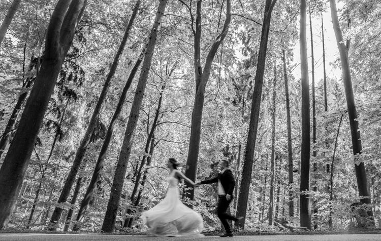 חלום של ילדת דיסני: חתונה בארמון בצ'כיה 28