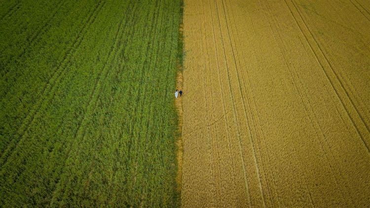 חלום של ילדת דיסני: חתונה בארמון בצ'כיה 29