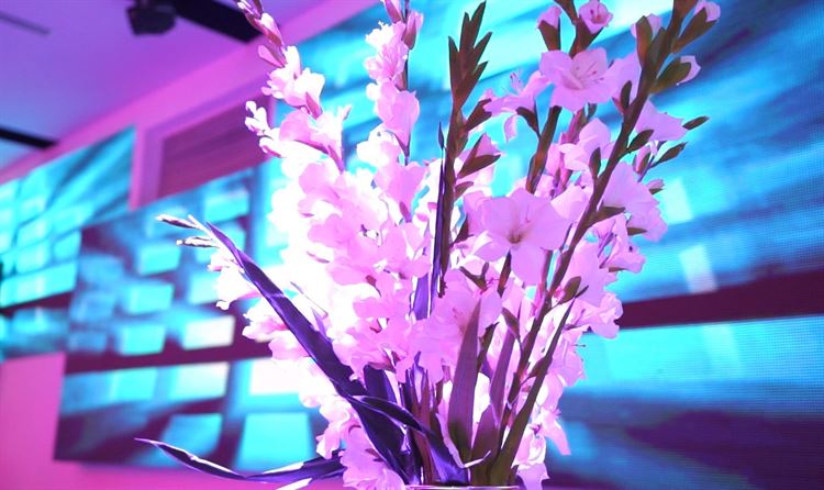 הסוד הוא בפרטים הקטנים (צילום: מקסים. ס)