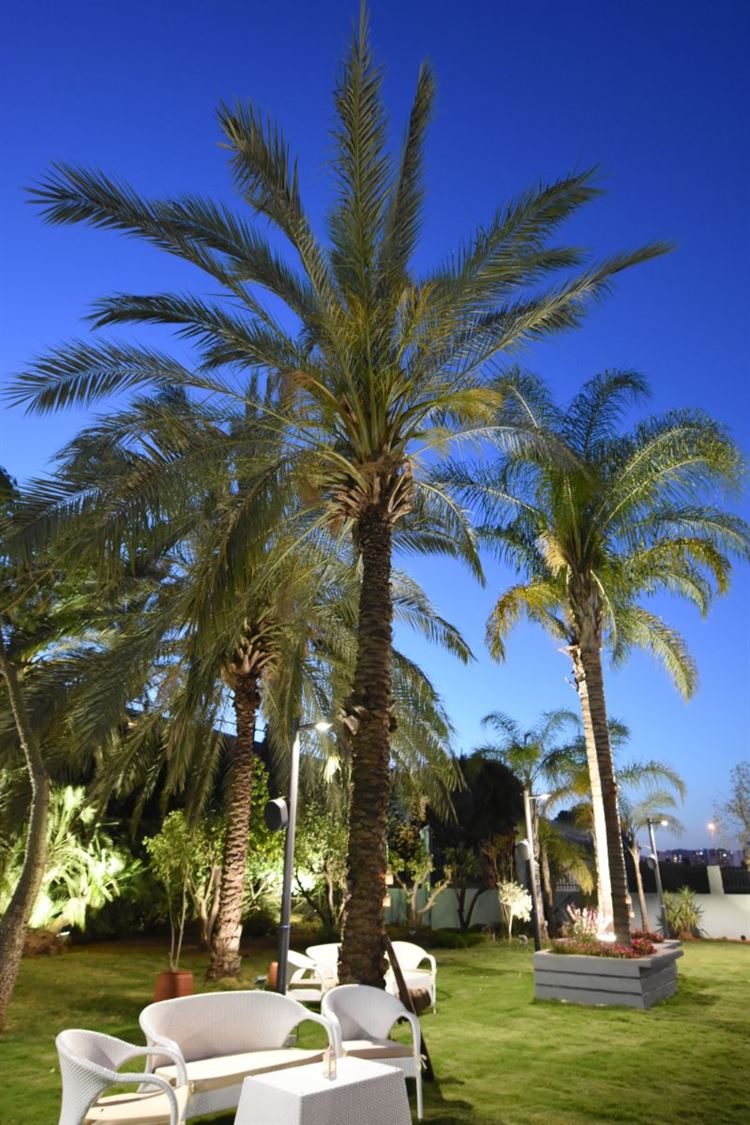 חברות ותאגידים? האירוע העסקי הבא שלכם יערך כאן 9