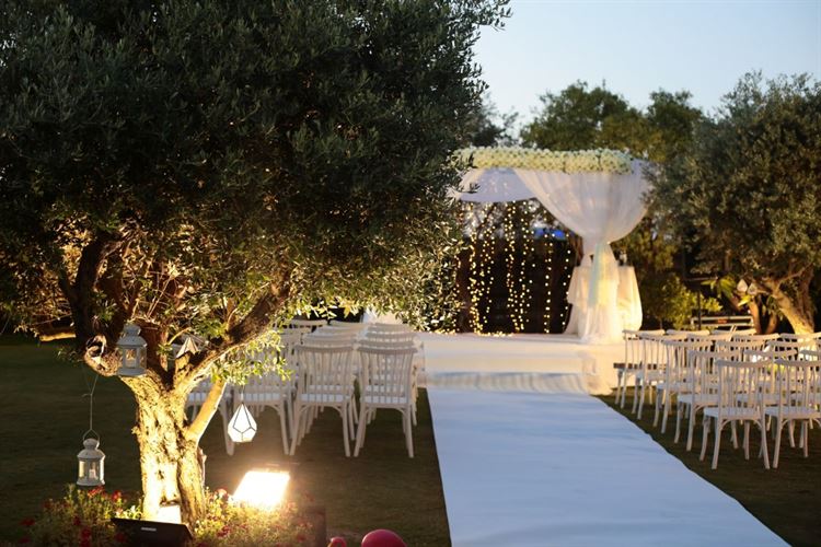 חופה חלומית ועוצרת נשימה במתחם האירועים 'יונו' (צילום: עידן כנפי) 