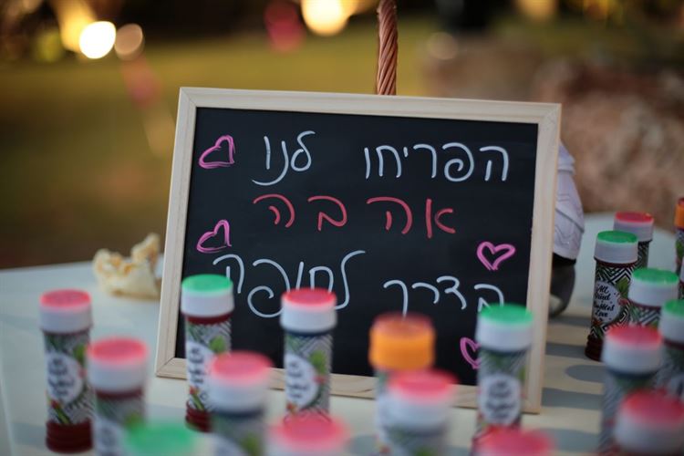 בואו להפריח אהבה עם בועות סבון ממותגות, החתונה של מעיין צ'מסי ותומר חפץ (צילום: עידן כנפי) 