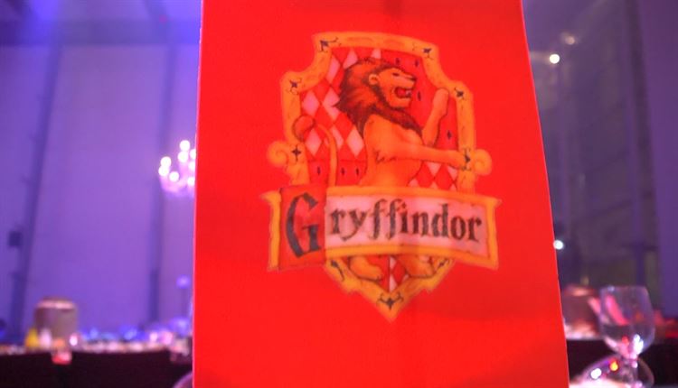 אל תפספסו: חתונה בסגנון הארי פוטר בקסאנאדו 5