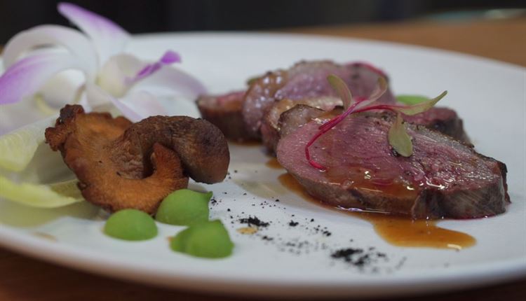 צפו: החידושים המרעננים באולם האירועים אלגריה 19