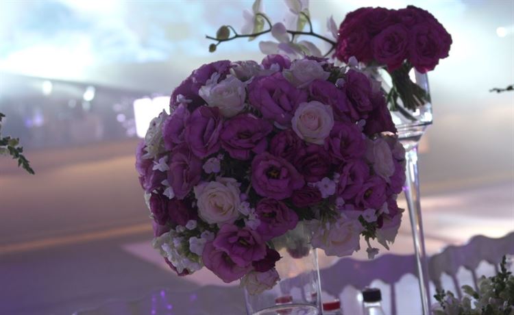 צפו: החידושים המרעננים באולם האירועים אלגריה 13