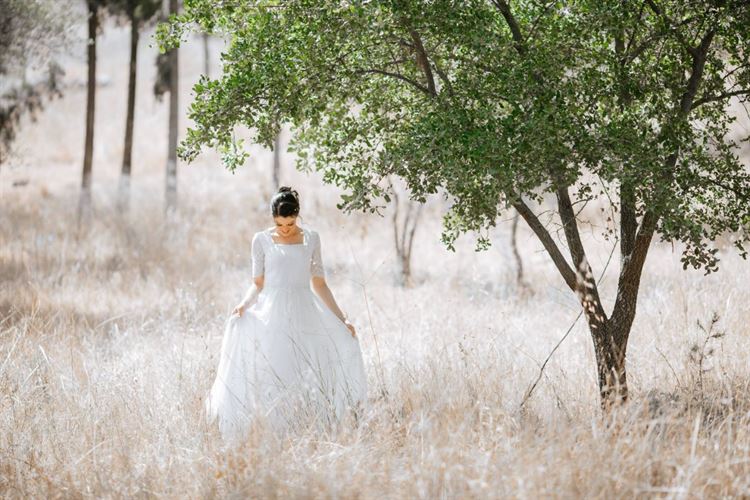 "מבצע סבתא": ביקור עם טוויסט בעלילה 5