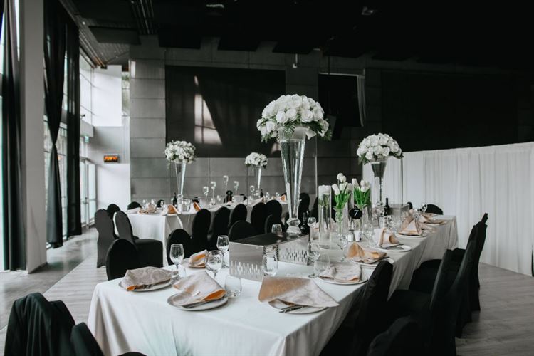 "מבצע סבתא": ביקור עם טוויסט בעלילה 14