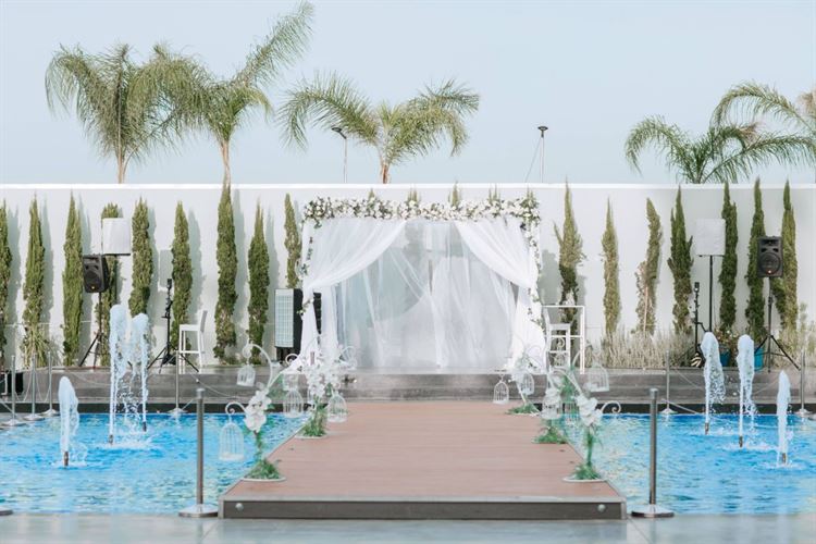 "מבצע סבתא": ביקור עם טוויסט בעלילה 3