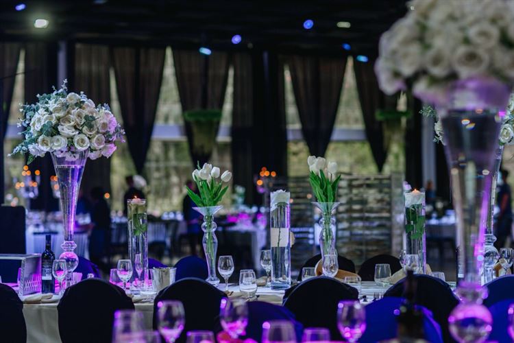 "מבצע סבתא": ביקור עם טוויסט בעלילה 16