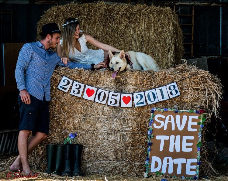 התחיל לא טוב: משפט פתיחה כושל שהוביל לחתונה 3