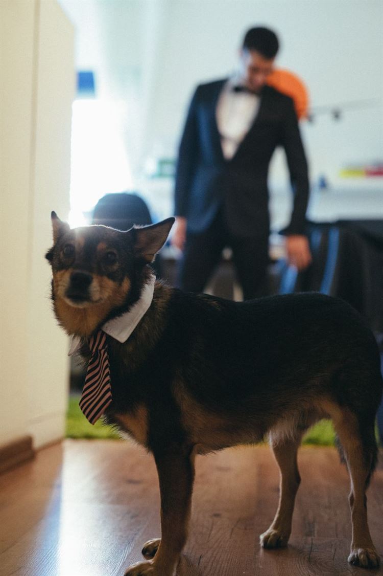 מבית היוצר של דיסני: חתונה בקונספט של בת הים הקטנה 7