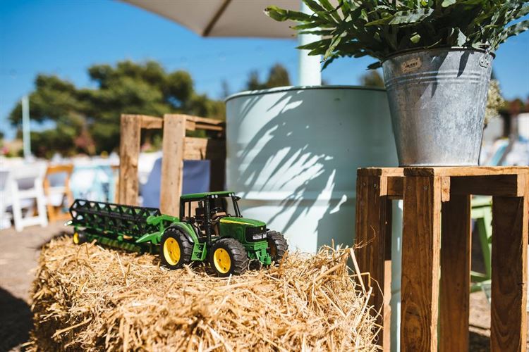 פסטיבל של אהבה: חתונת השטח הכי צבעונית שתכירו 6