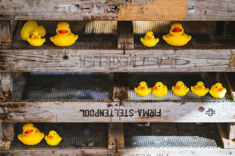 פסטיבל של אהבה: חתונת השטח הכי צבעונית שתכירו 7