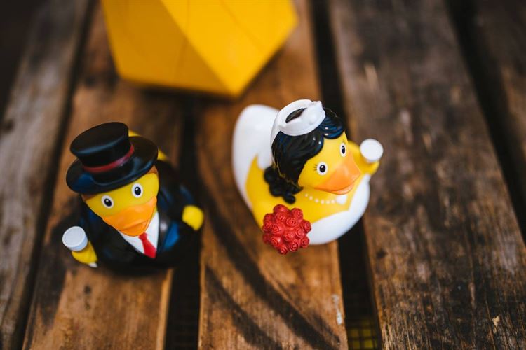 פסטיבל של אהבה: חתונת השטח הכי צבעונית שתכירו 15