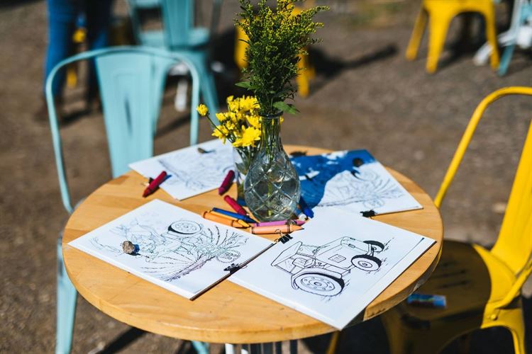 פסטיבל של אהבה: חתונת השטח הכי צבעונית שתכירו 20